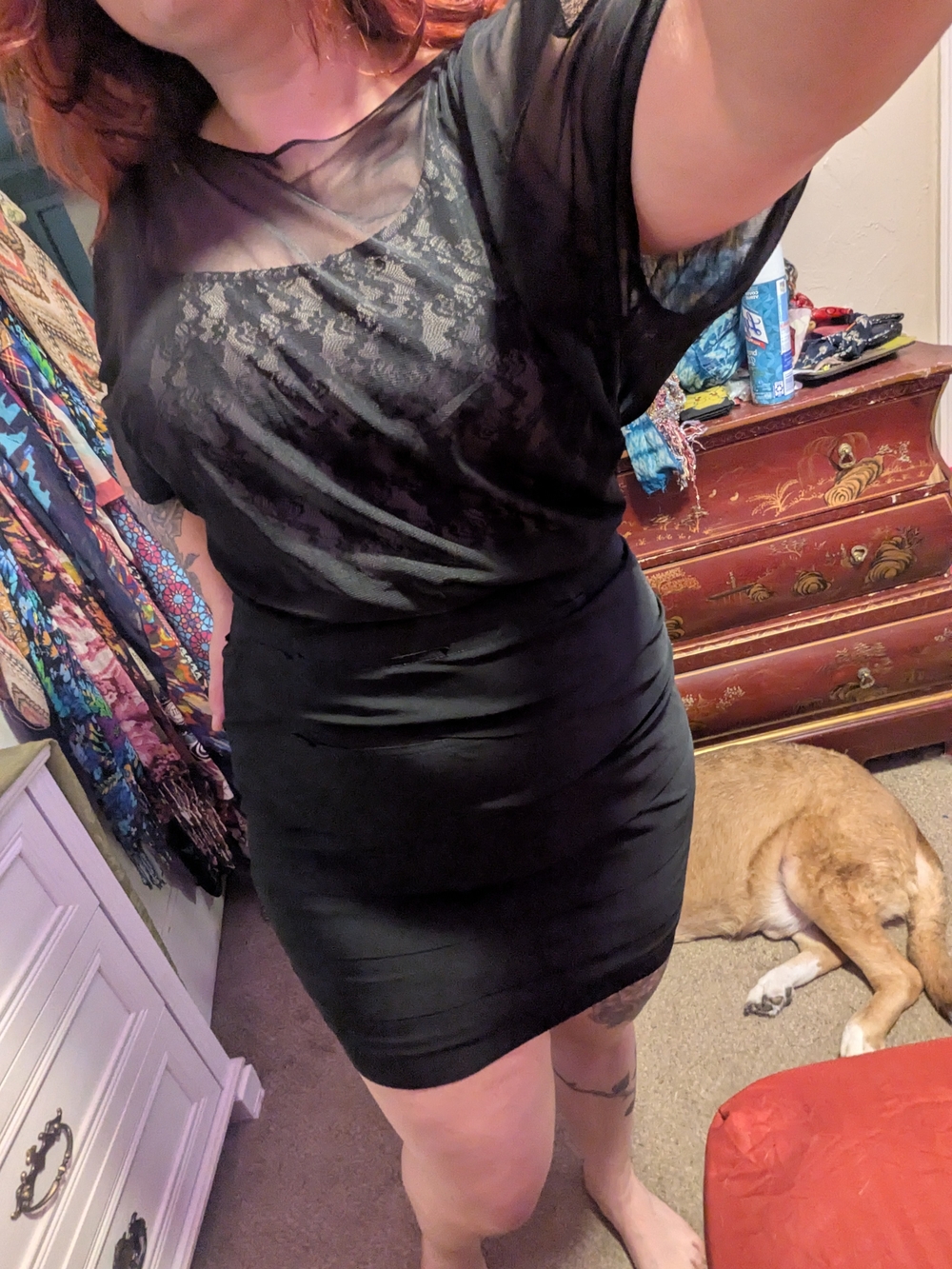 Sheer Black Lace-Overlay Women's Dress - Classic Black